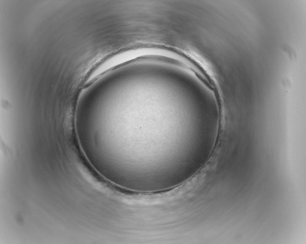 X0000090890009200708101410