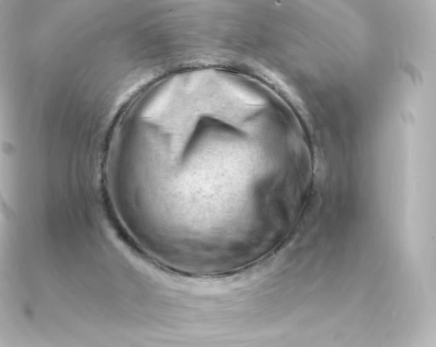 X0000090890010200708101410