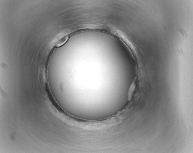 X0000090890011200708101410