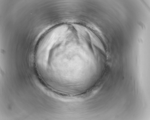 X0000090890012200708101410