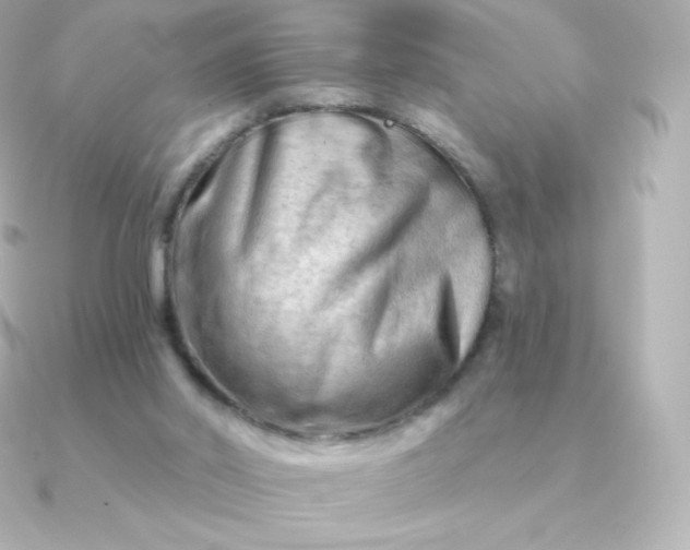 X0000090890014200708101410