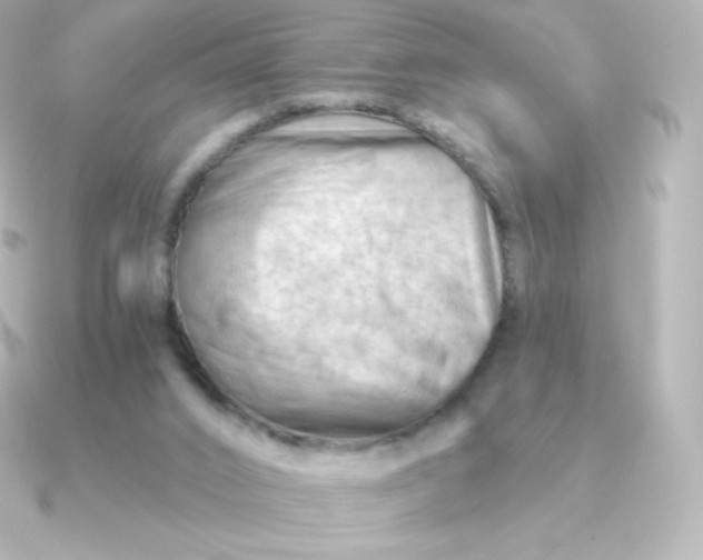 X0000090890016200708101410