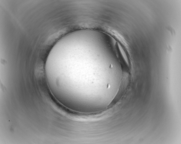 X0000090890017200708101410