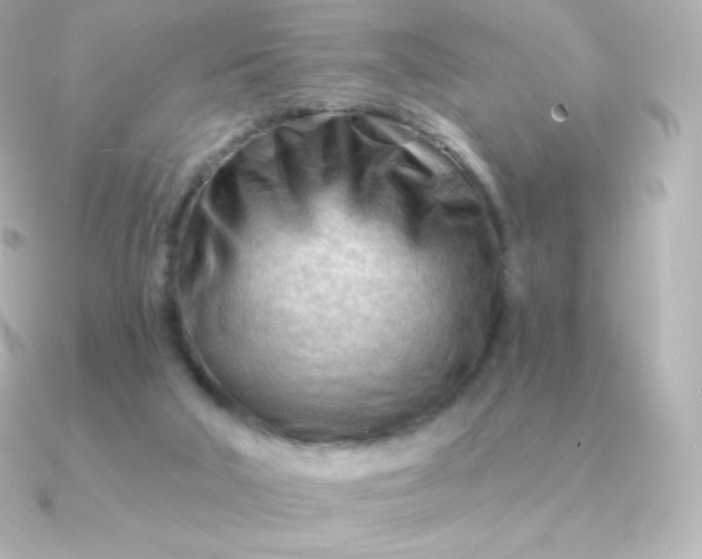 X0000090890018200708101410