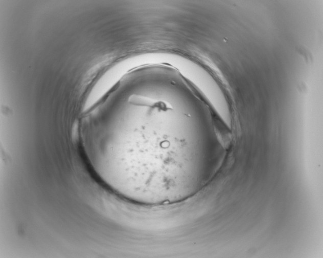 X0000090890019200708101410