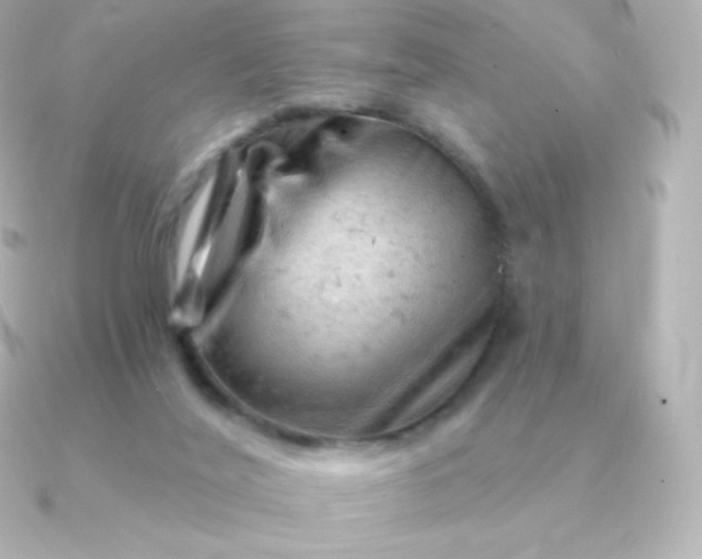 X0000090890020200708101410