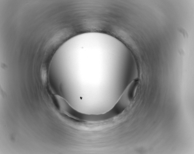 X0000090890021200708101410