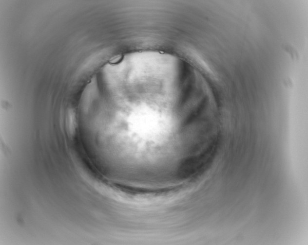 X0000090890022200708101410