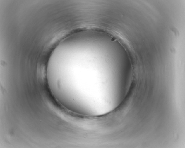 X0000090890024200708101410