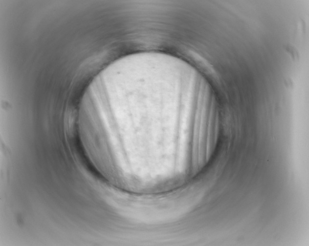 X0000090890026200708101410