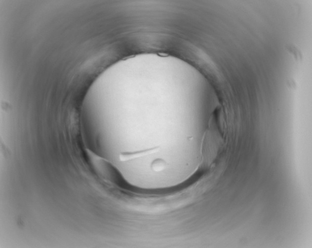 X0000090890029200708101410