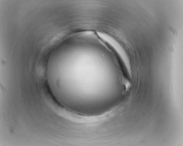 X0000090890031200708101410