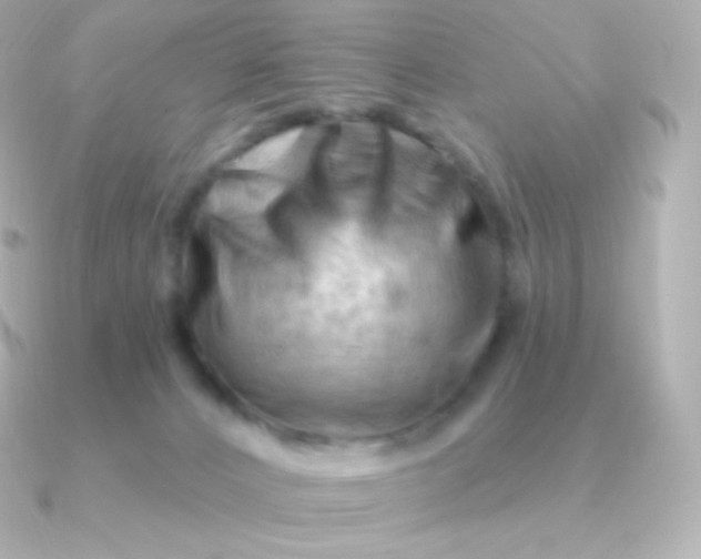 X0000090890032200708101410