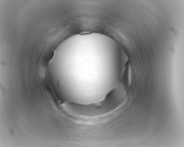 X0000090890033200708101410