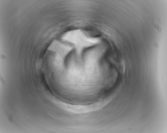 X0000090890034200708101410