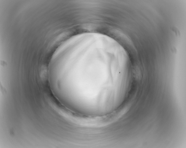 X0000090890036200708101410