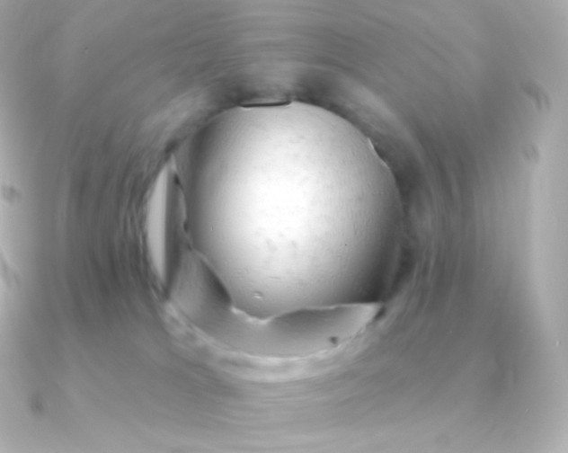 X0000090890037200708101410