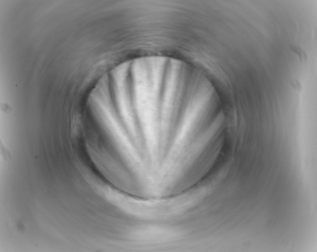 X0000090890038200708101410