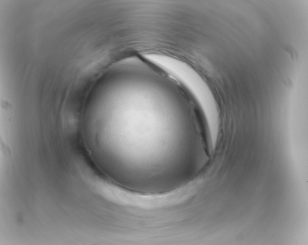 X0000090890039200708101410