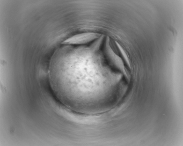 X0000090890040200708101410