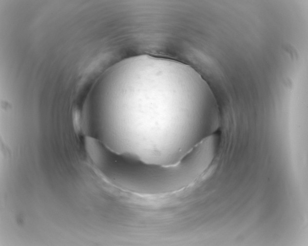 X0000090890041200708101410