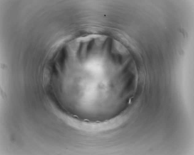 X0000090890043200708101410