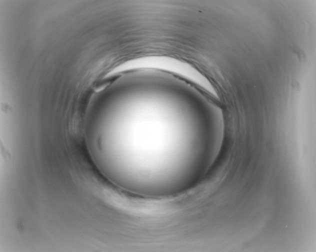 X0000090890044200708101410