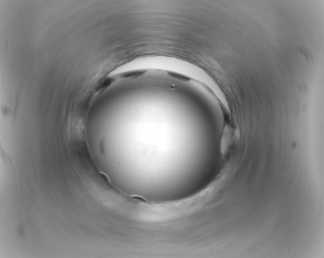 X0000090890045200708101410