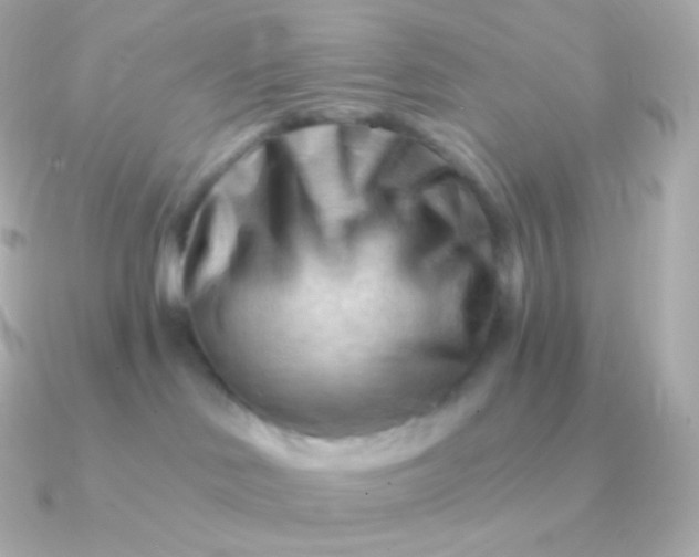 X0000090890046200708101410