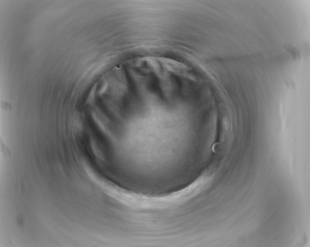 X0000090890048200708101410