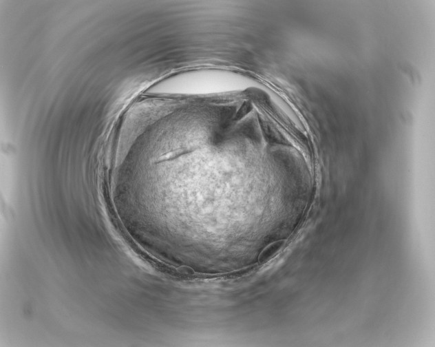 X0000090890049200708101409