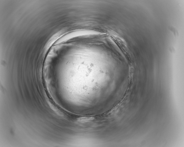 X0000090890051200708101409