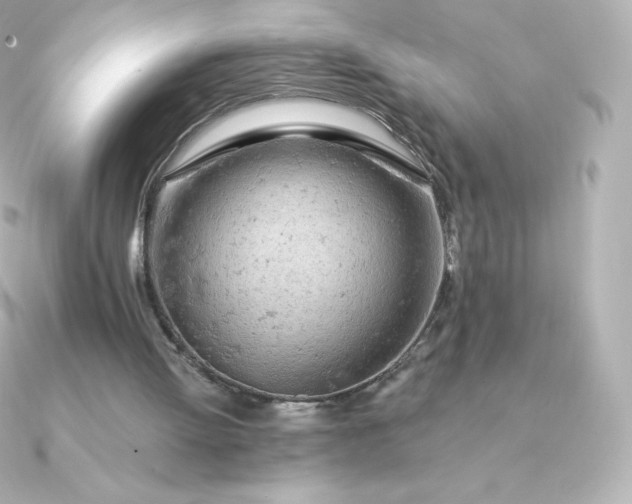 X0000090890052200708101409