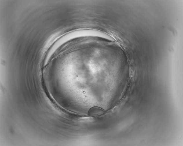 X0000090890053200708101409