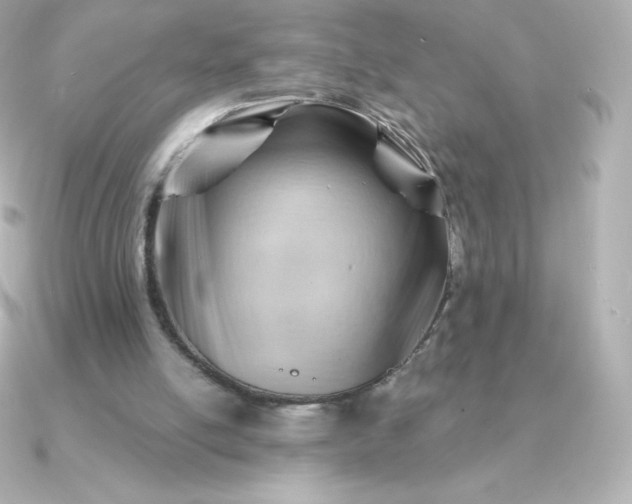 X0000090890054200708101409