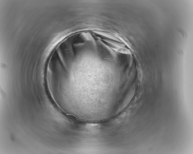 X0000090890055200708101409