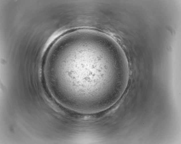 X0000090890056200708101409