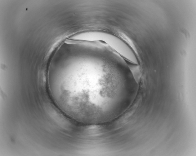 X0000090890059200708101409