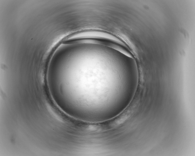 X0000090890060200708101409