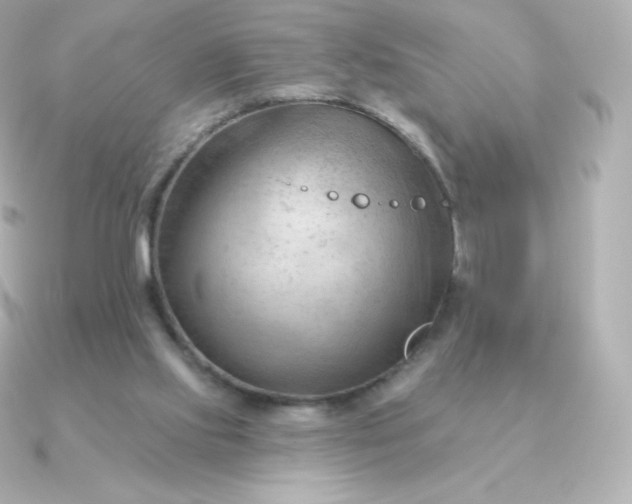 X0000090890061200708101409