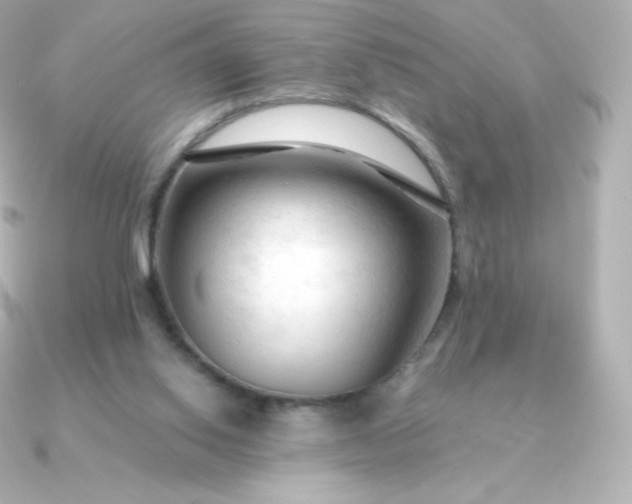 X0000090890062200708101409