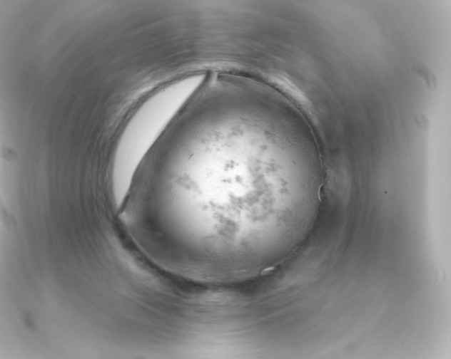 X0000090890063200708101410