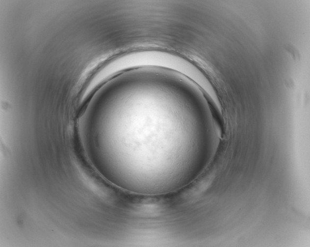 X0000090890064200708101410