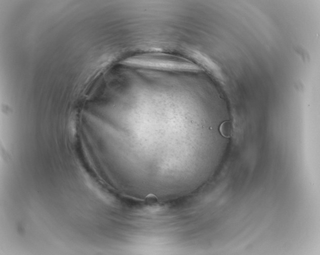 X0000090890065200708101410