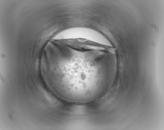 X0000090890066200708101410