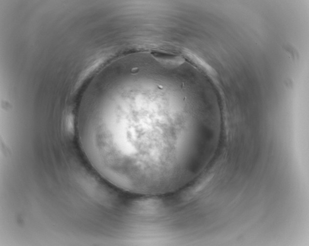 X0000090890067200708101410