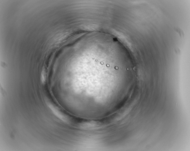 X0000090890069200708101410