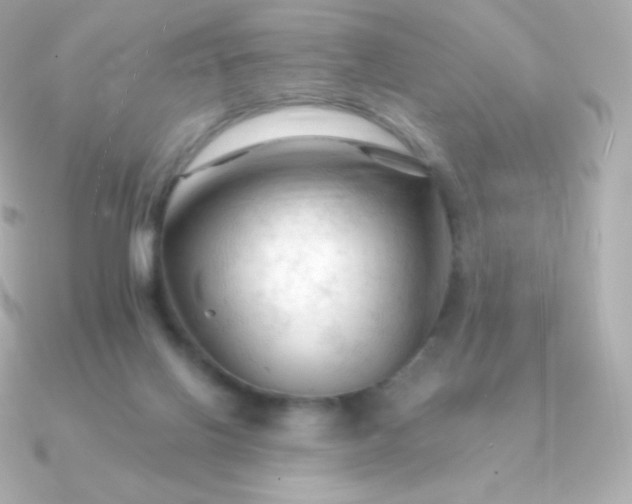 X0000090890070200708101410