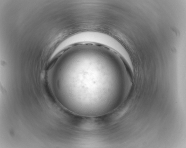 X0000090890072200708101410