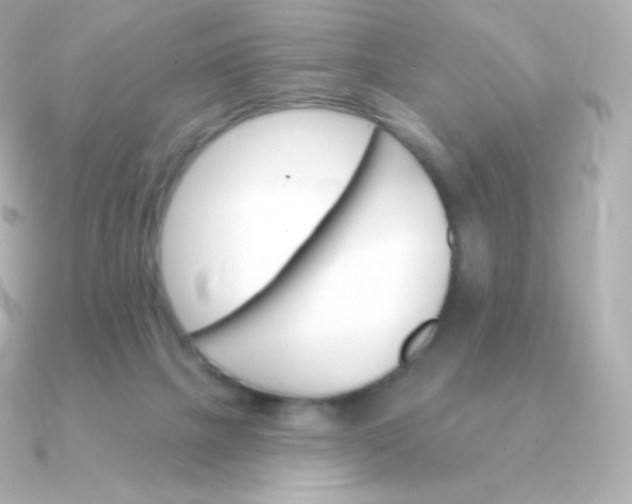 X0000090890073200708101410